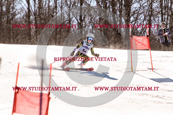 MAT_5594.jpg