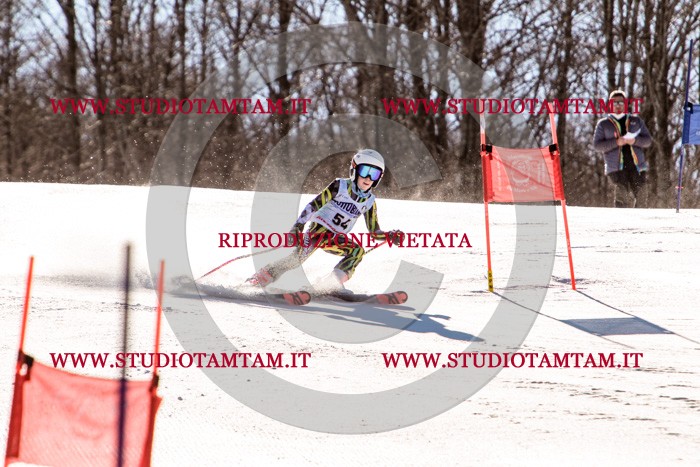 MAT_5595.jpg