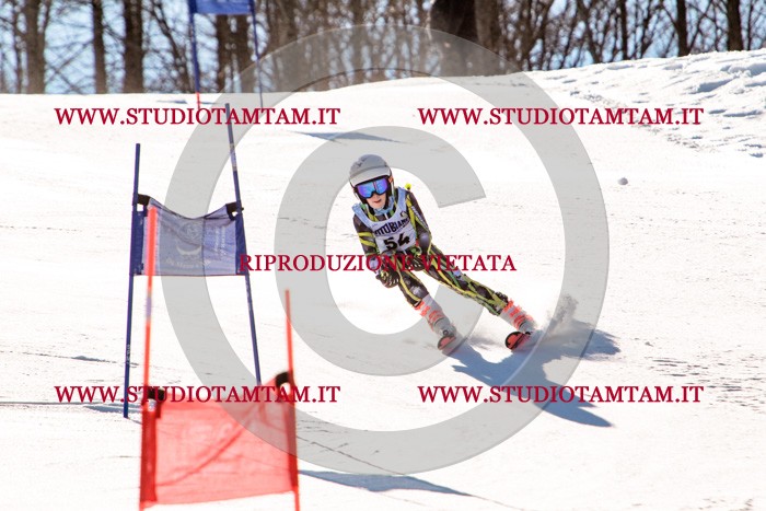 MAT_5597.jpg