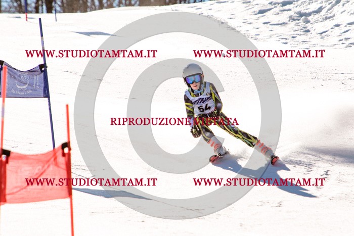 MAT_5599.jpg