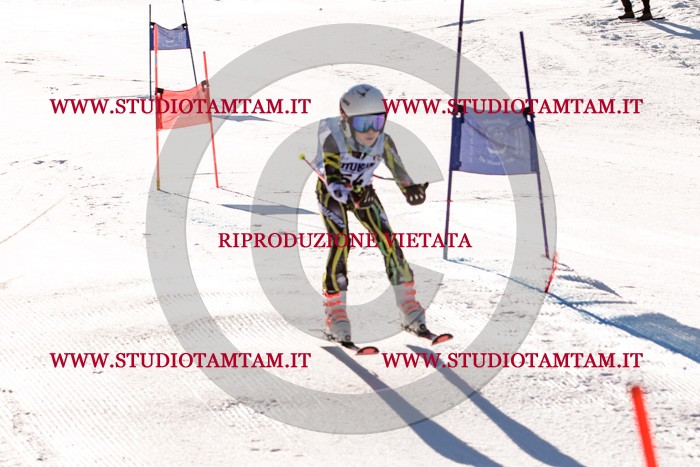 MAT_5601.jpg