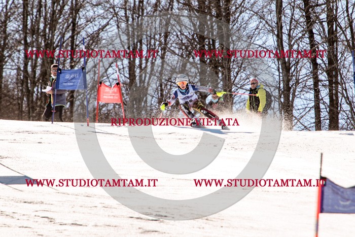 MAT_5603.jpg
