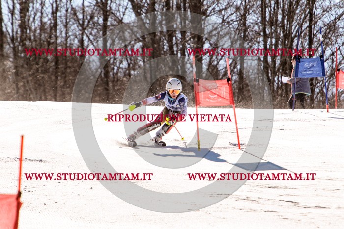 MAT_5606.jpg
