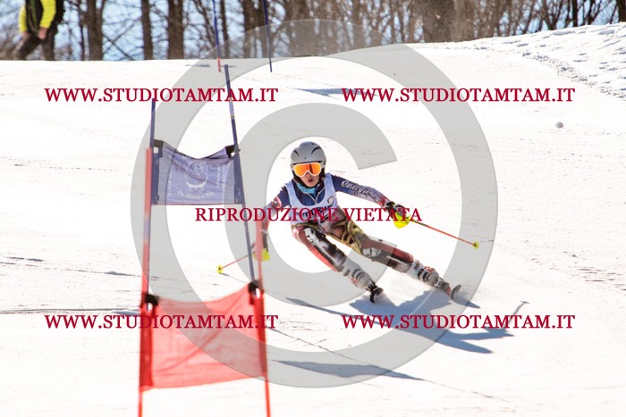 MAT_5608.jpg