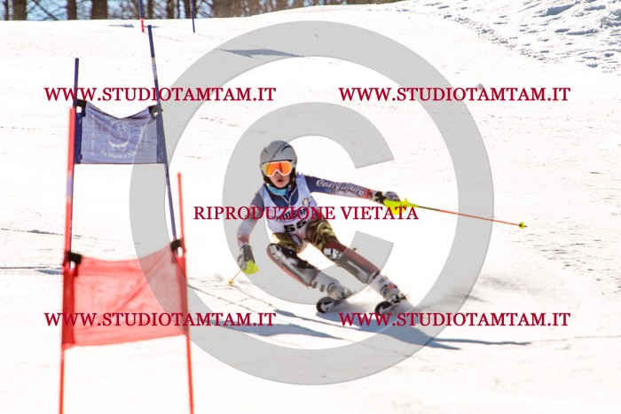 MAT_5610.jpg