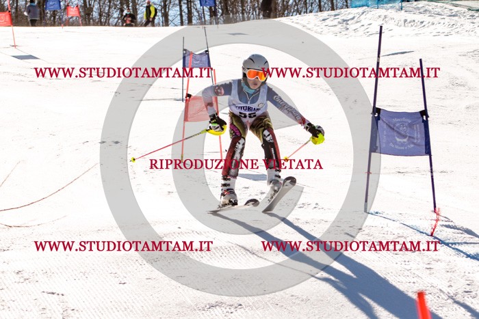 MAT_5611.jpg