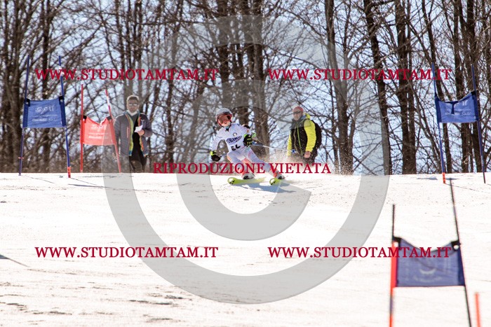MAT_5615.jpg