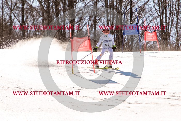 MAT_5617.jpg