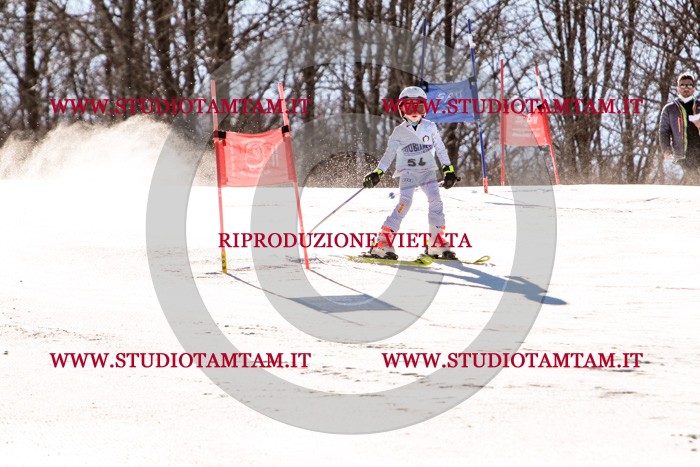 MAT_5618.jpg
