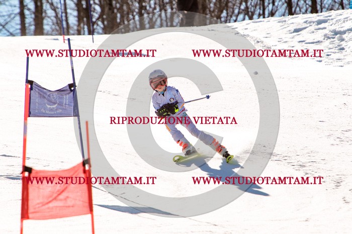 MAT_5619.jpg