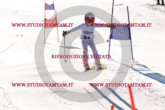 MAT_5623.jpg