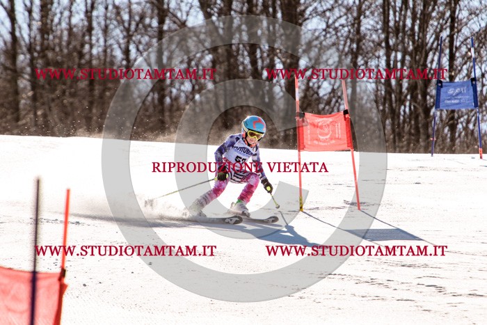 MAT_5629.jpg