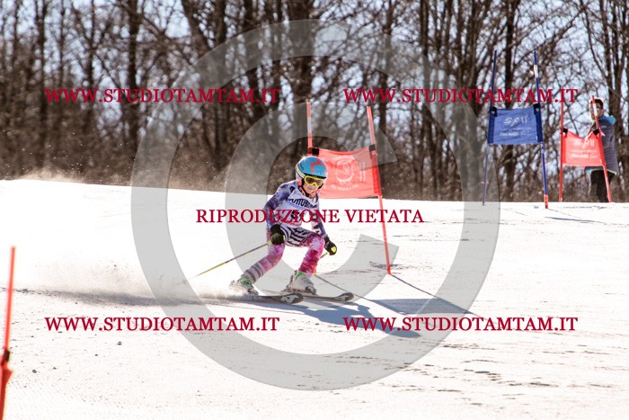 MAT_5630.jpg