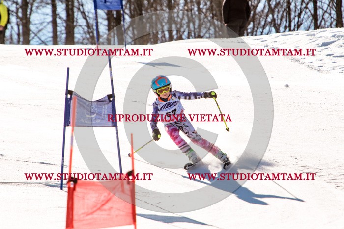 MAT_5631.jpg
