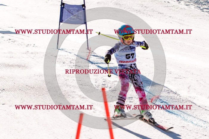 MAT_5637.jpg
