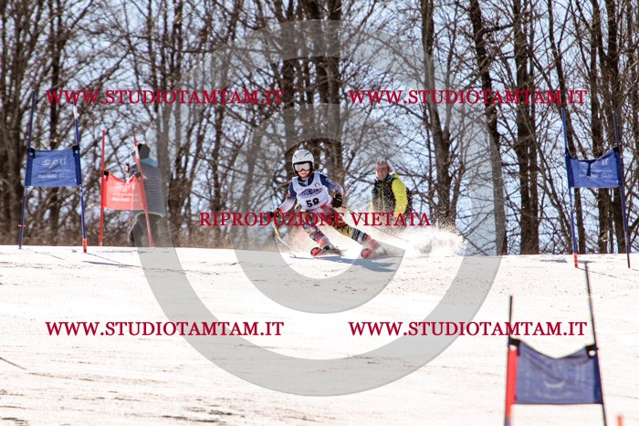 MAT_5638.jpg