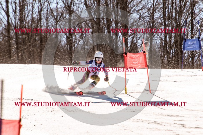 MAT_5641.jpg