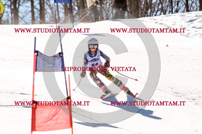 MAT_5642.jpg