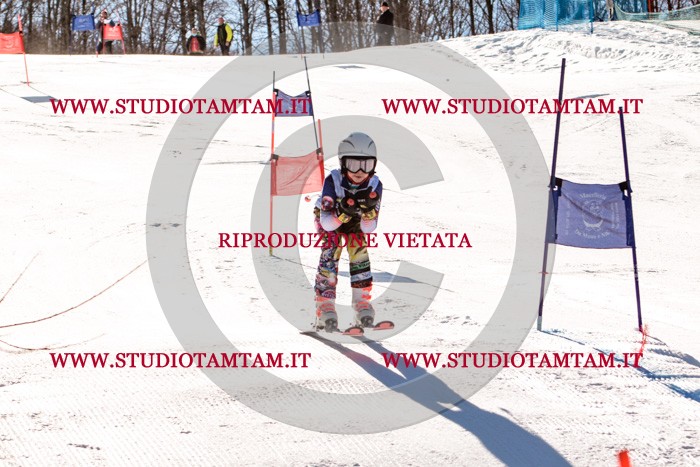 MAT_5644.jpg