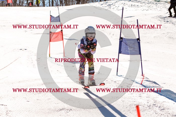 MAT_5645.jpg