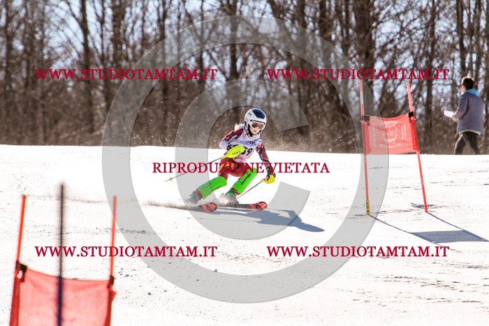 MAT_5649.jpg