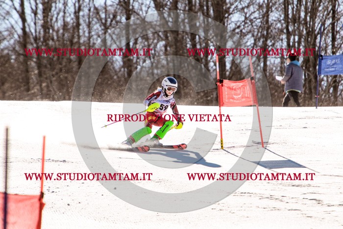 MAT_5650.jpg