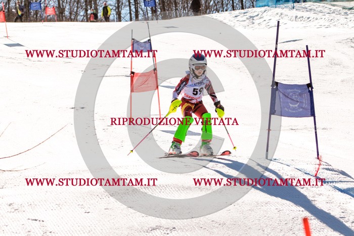 MAT_5653.jpg
