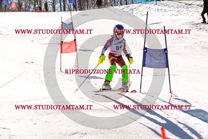 MAT_5654.jpg