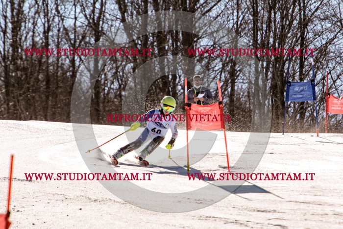 MAT_5659.jpg