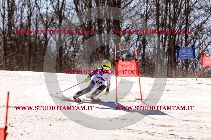MAT_5660.jpg
