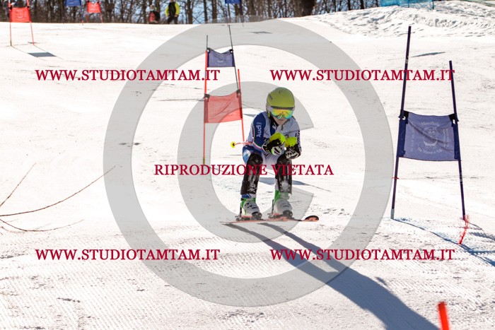 MAT_5664.jpg