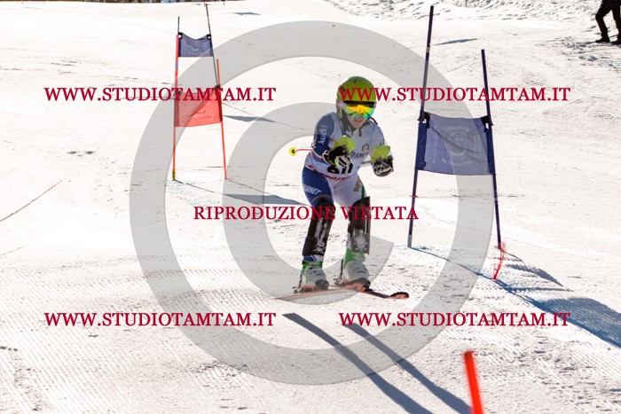 MAT_5665.jpg