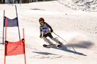 MAT_5393