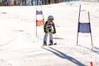 MAT_5460