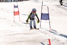 MAT_5461
