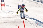 MAT_5462