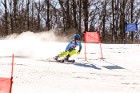 MAT_5531