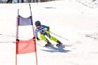 MAT_5534