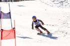 MAT_5558
