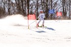 MAT_5617