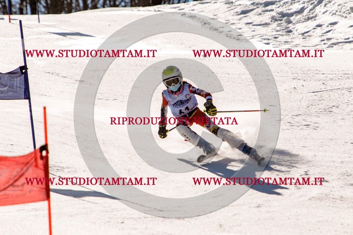 MAT_5673.jpg