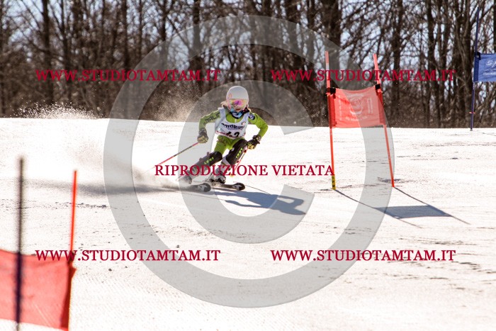 MAT_5680.jpg