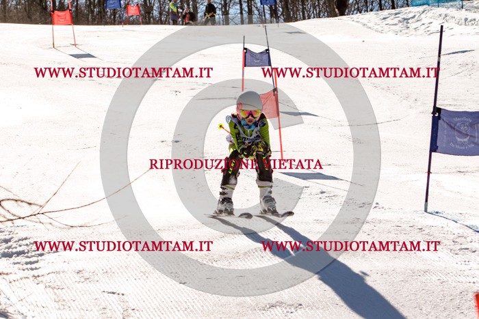 MAT_5684.jpg