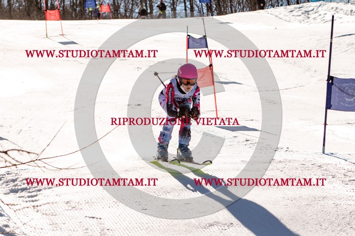 MAT_5694.jpg