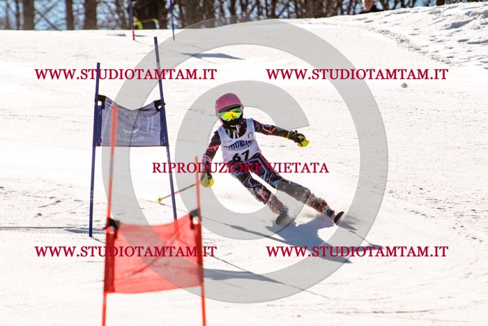 MAT_5718.jpg