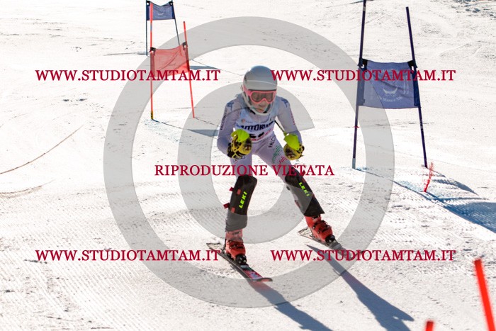 MAT_5735.jpg