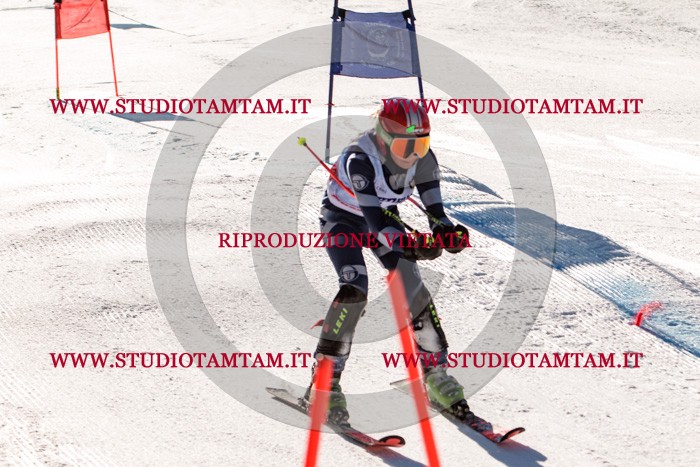 MAT_5747.jpg