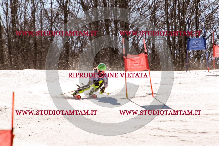 MAT_5763.jpg