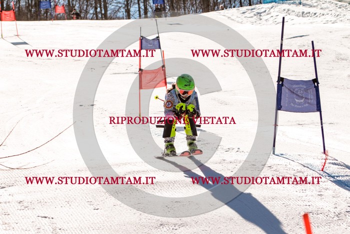 MAT_5767.jpg