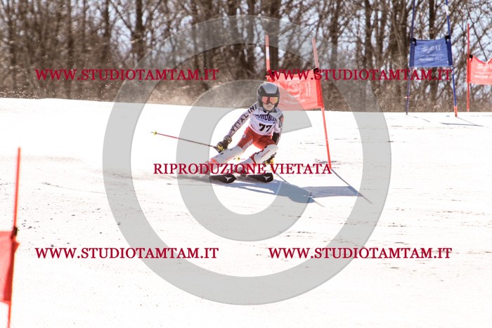 MAT_5809.jpg